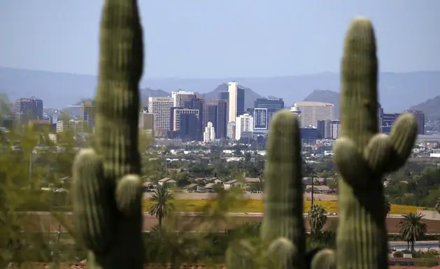 Framed by saguaro cactus, the downtown Phoenix skyline.
