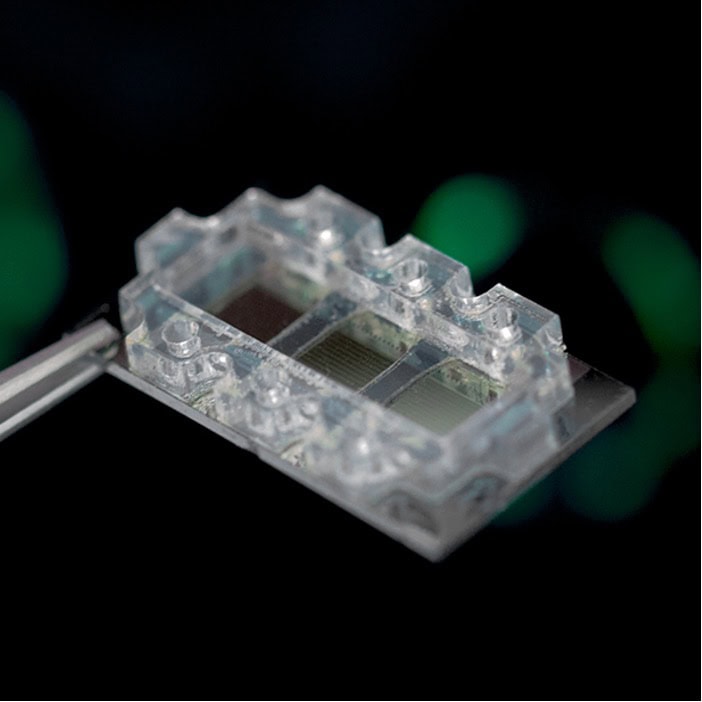 Biological Dynamics lab-on-a-chip device